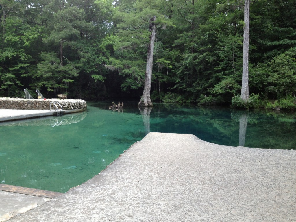 The Fountain of Youth