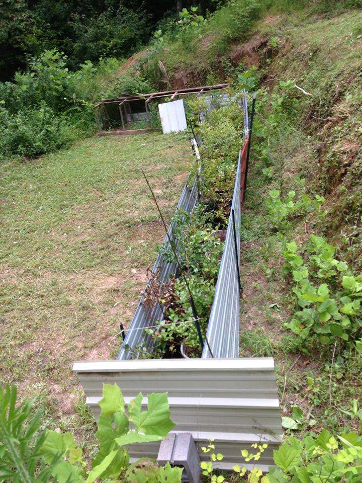 No more critters here!