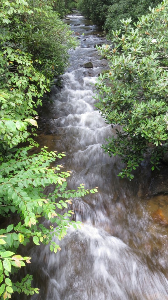 I just can't help myself!