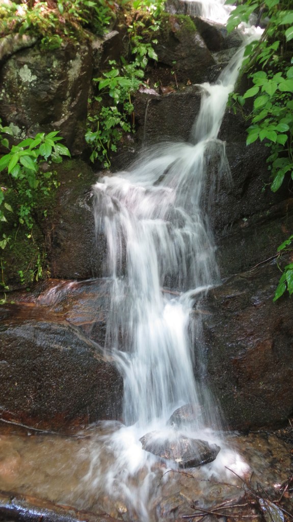 I just can't stop myself!