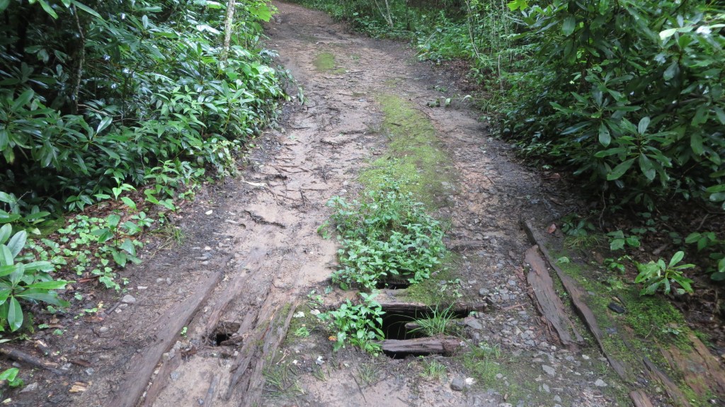 Upon further inspection