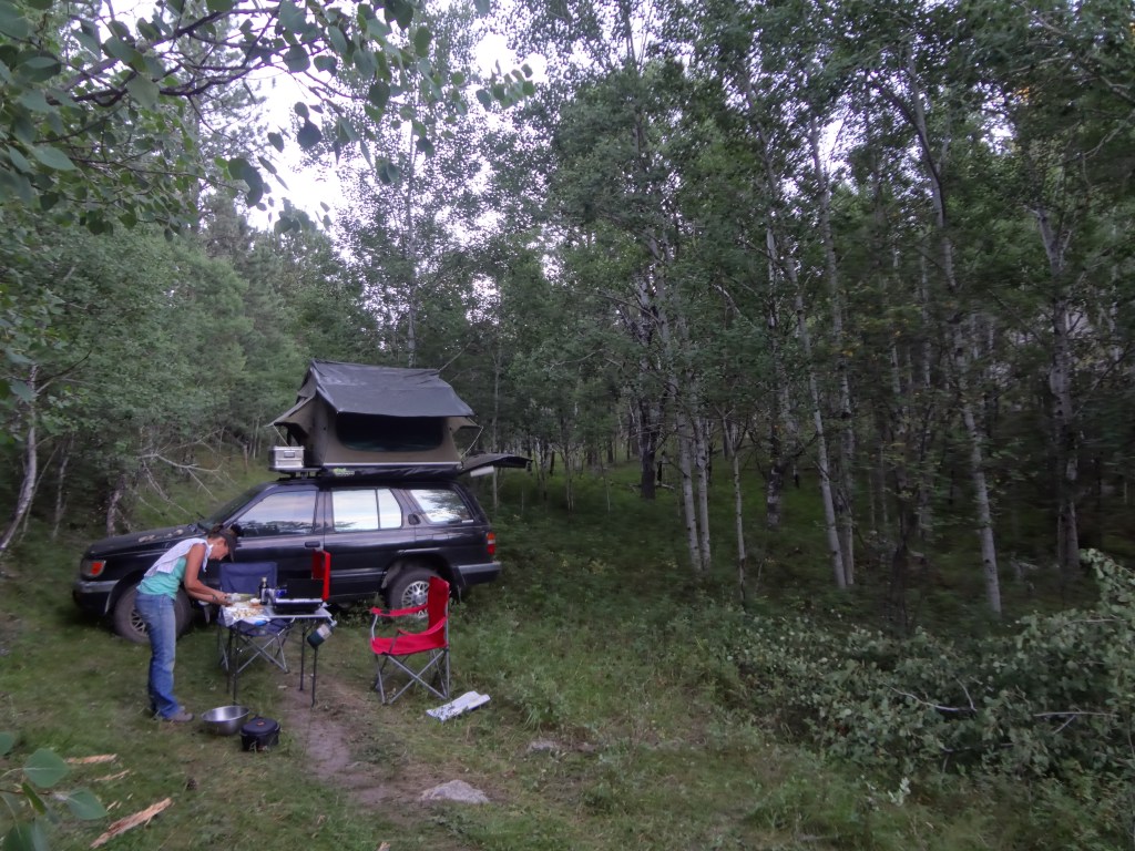 Making that delicious bison and asparagus dinner