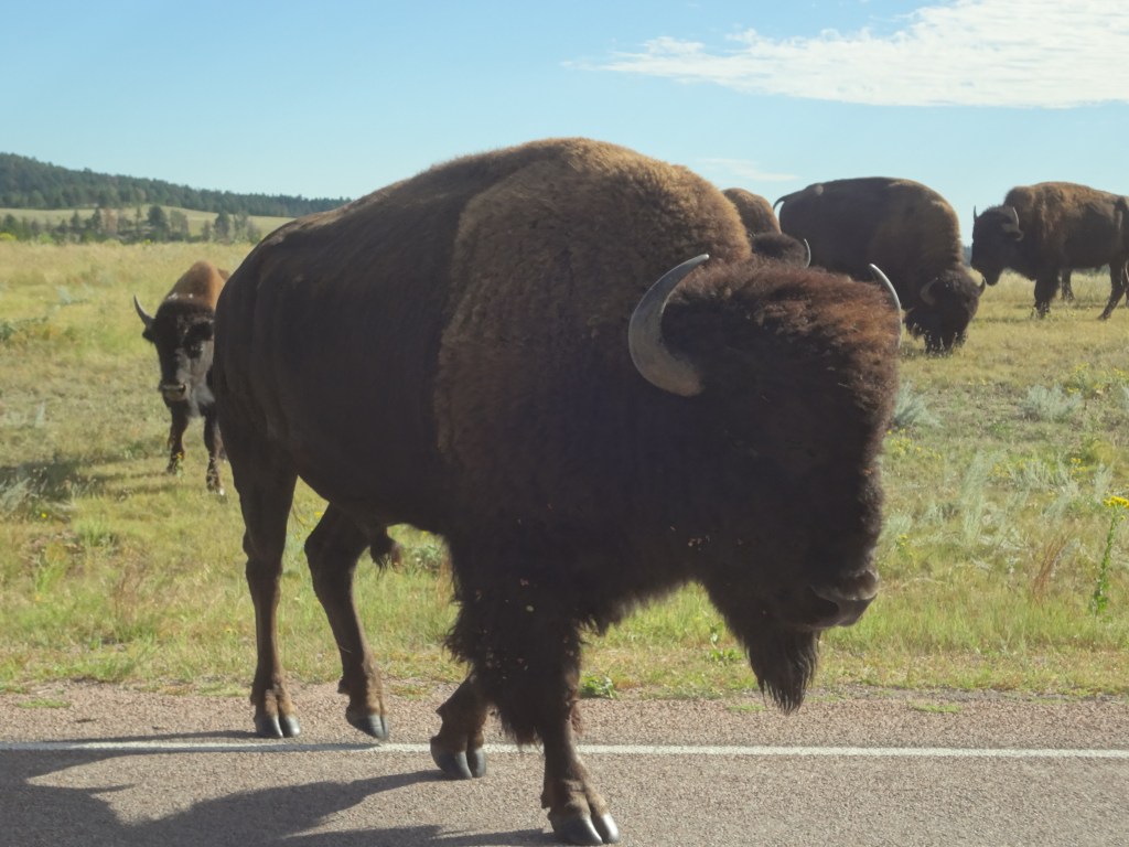 A little scarier than I had imagined it would be